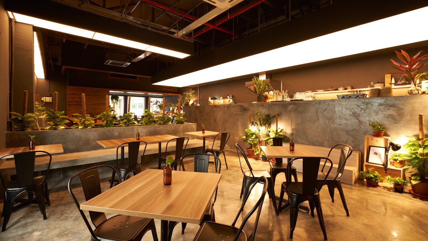 Premium Cafe Ambiance Reel